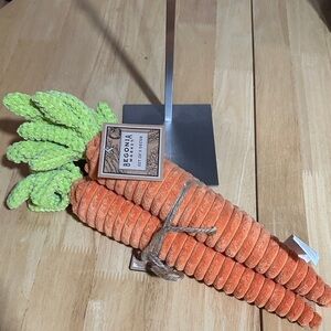 Begonia Orange Decorative Carrots